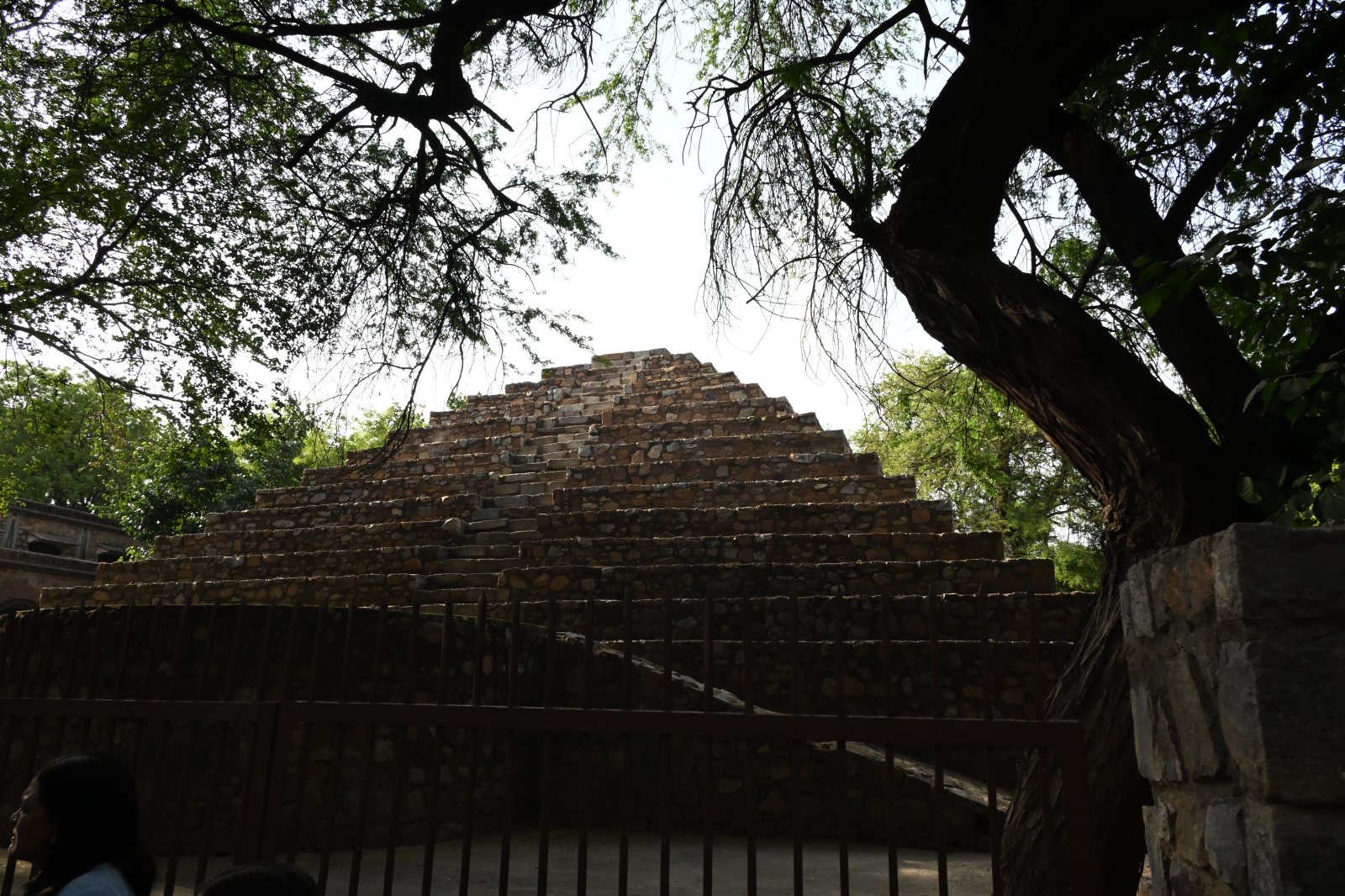 DSC_0510.JPG