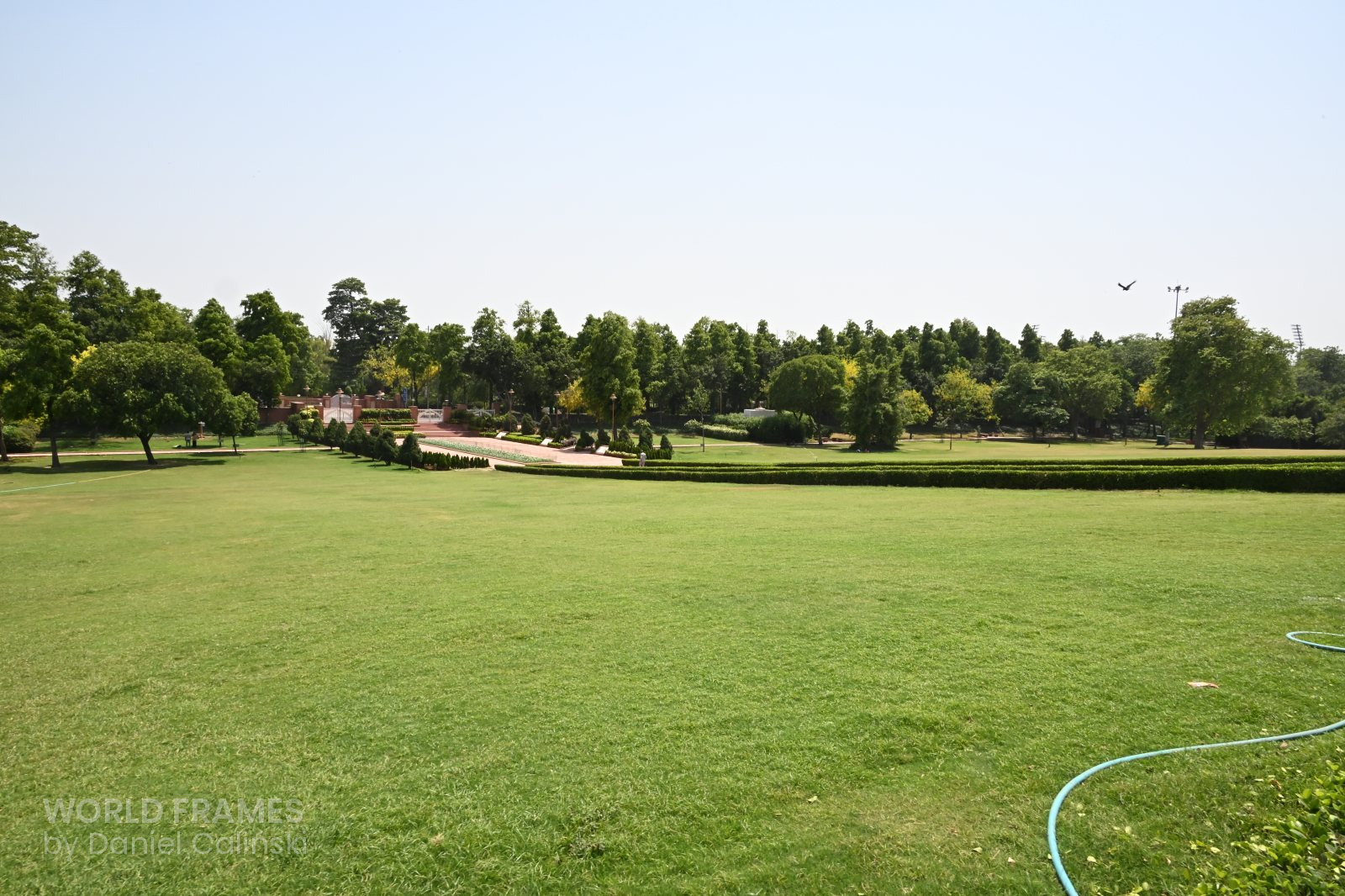 DSC_0908.JPG