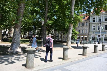 DSC_3590.JPG