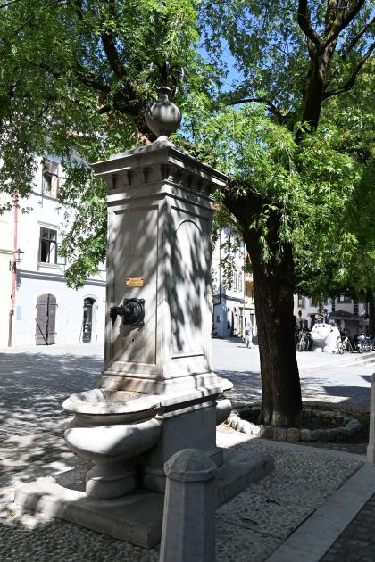 DSC_4741.JPG