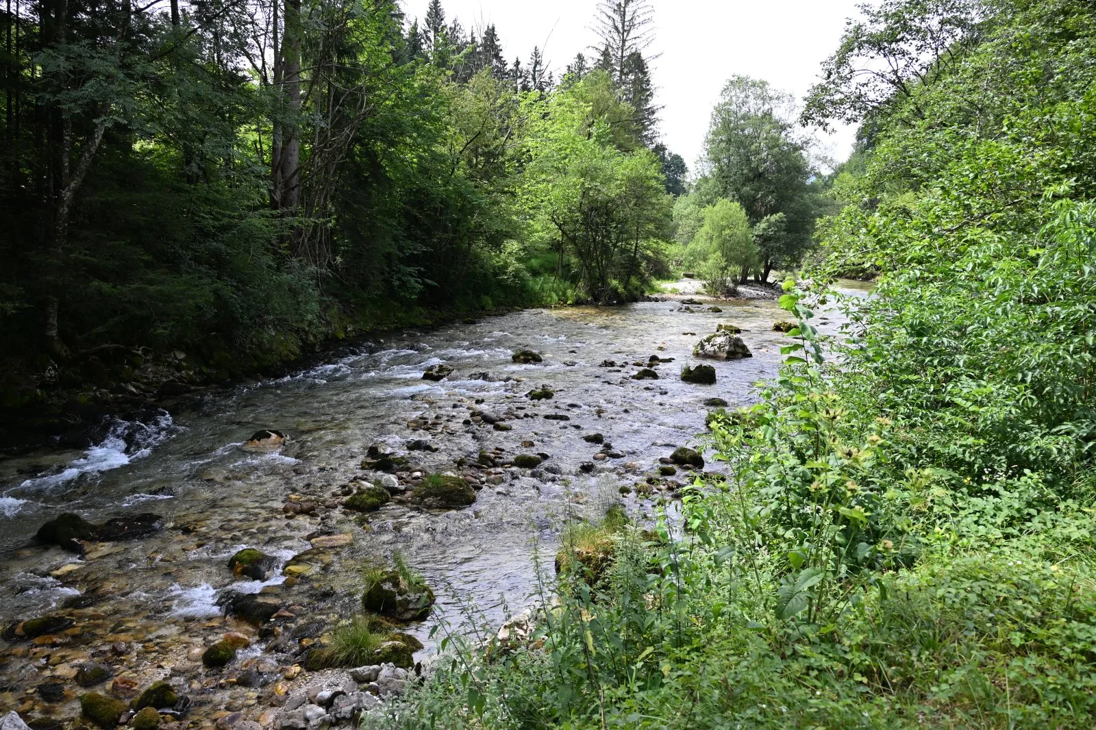 Słowenia