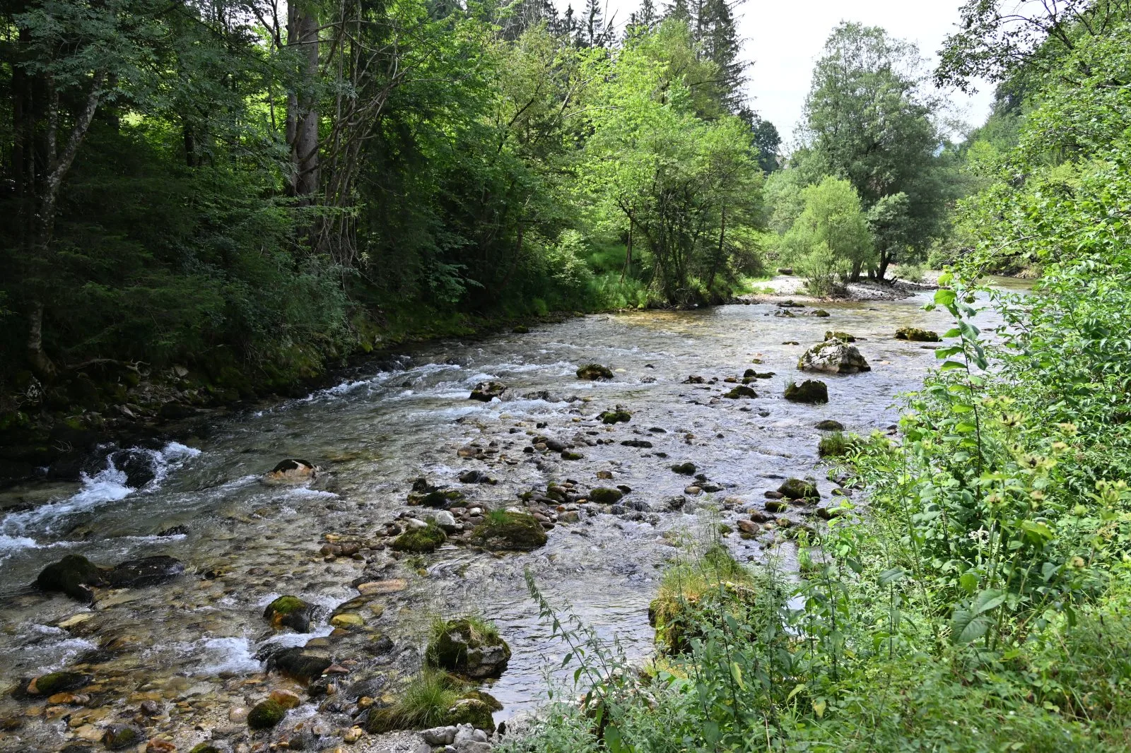 Słowenia