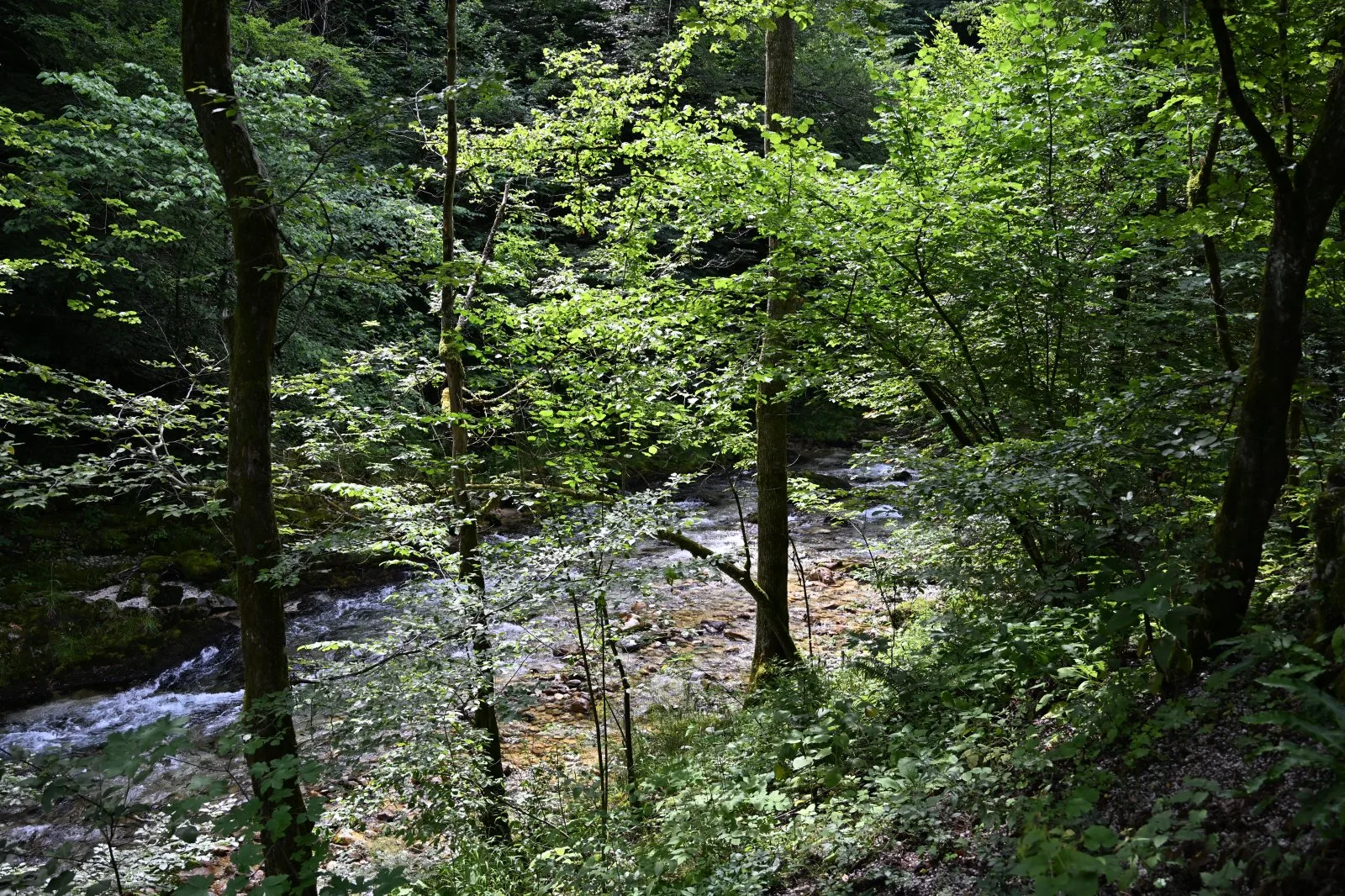 Słowenia