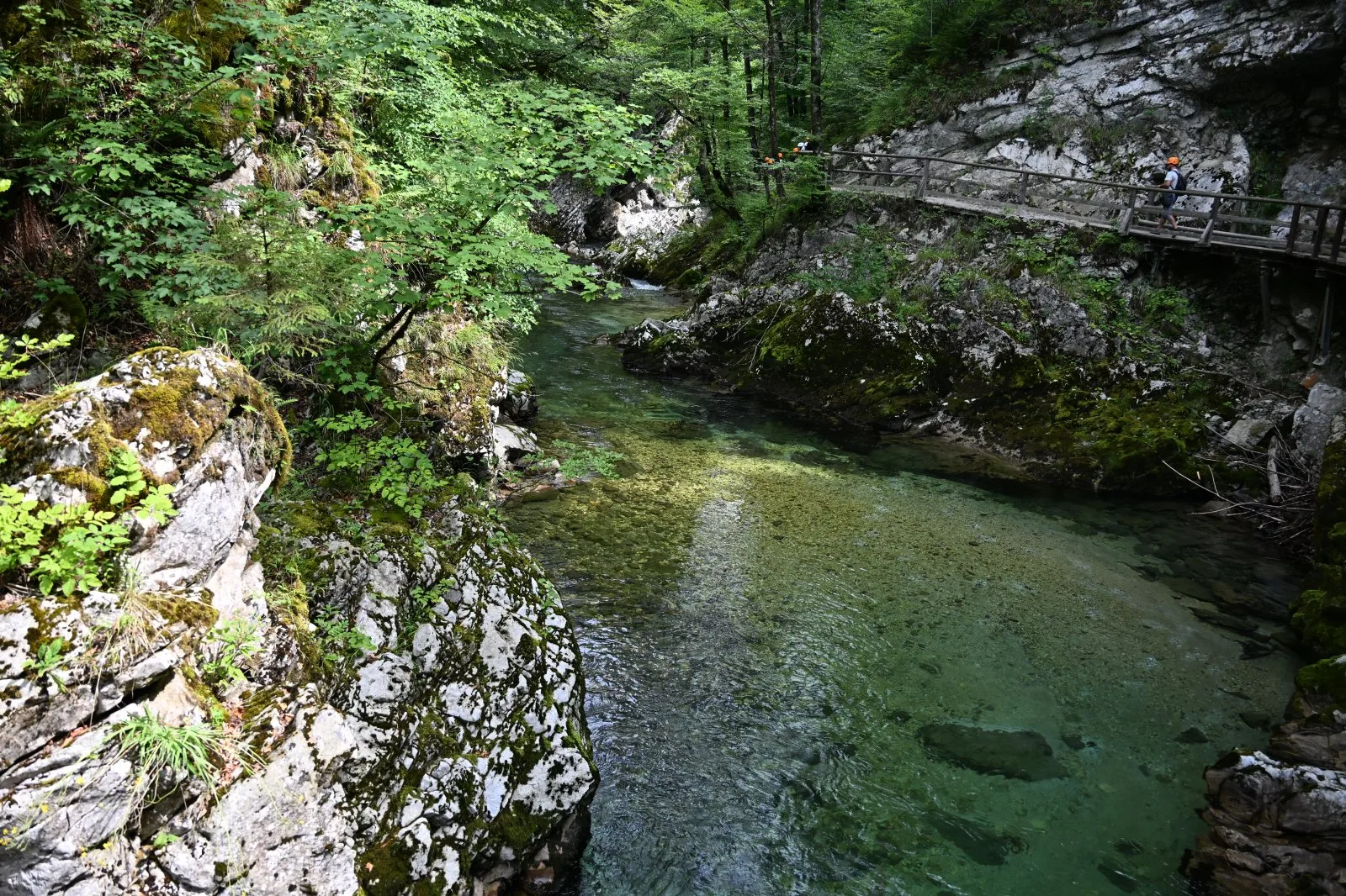Słowenia