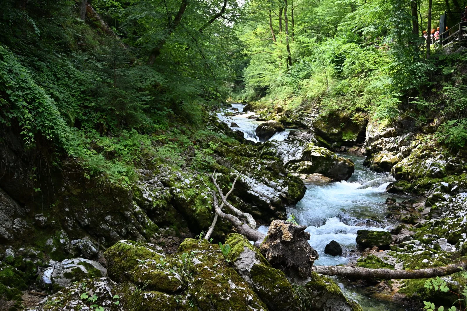 Słowenia