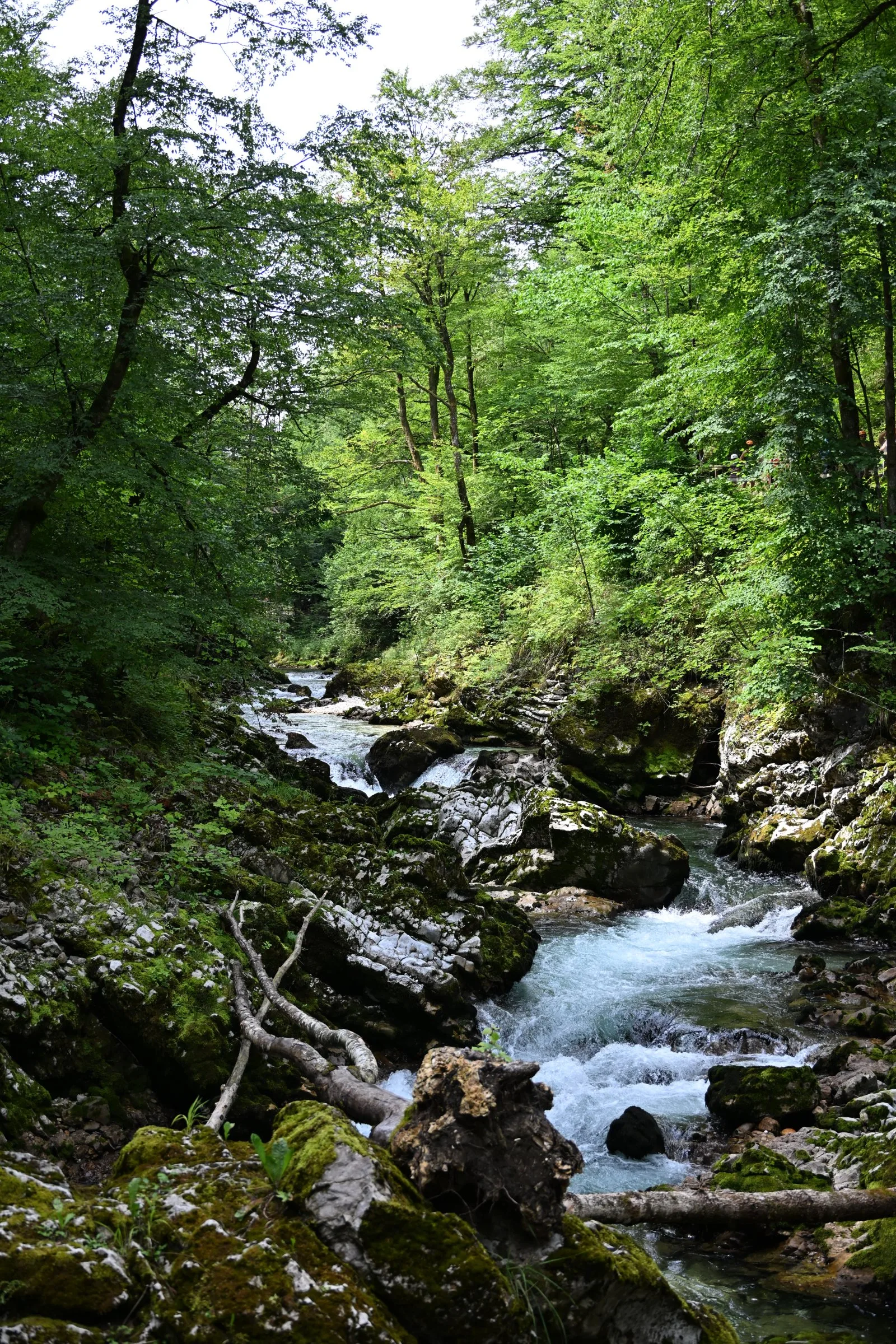 Słowenia