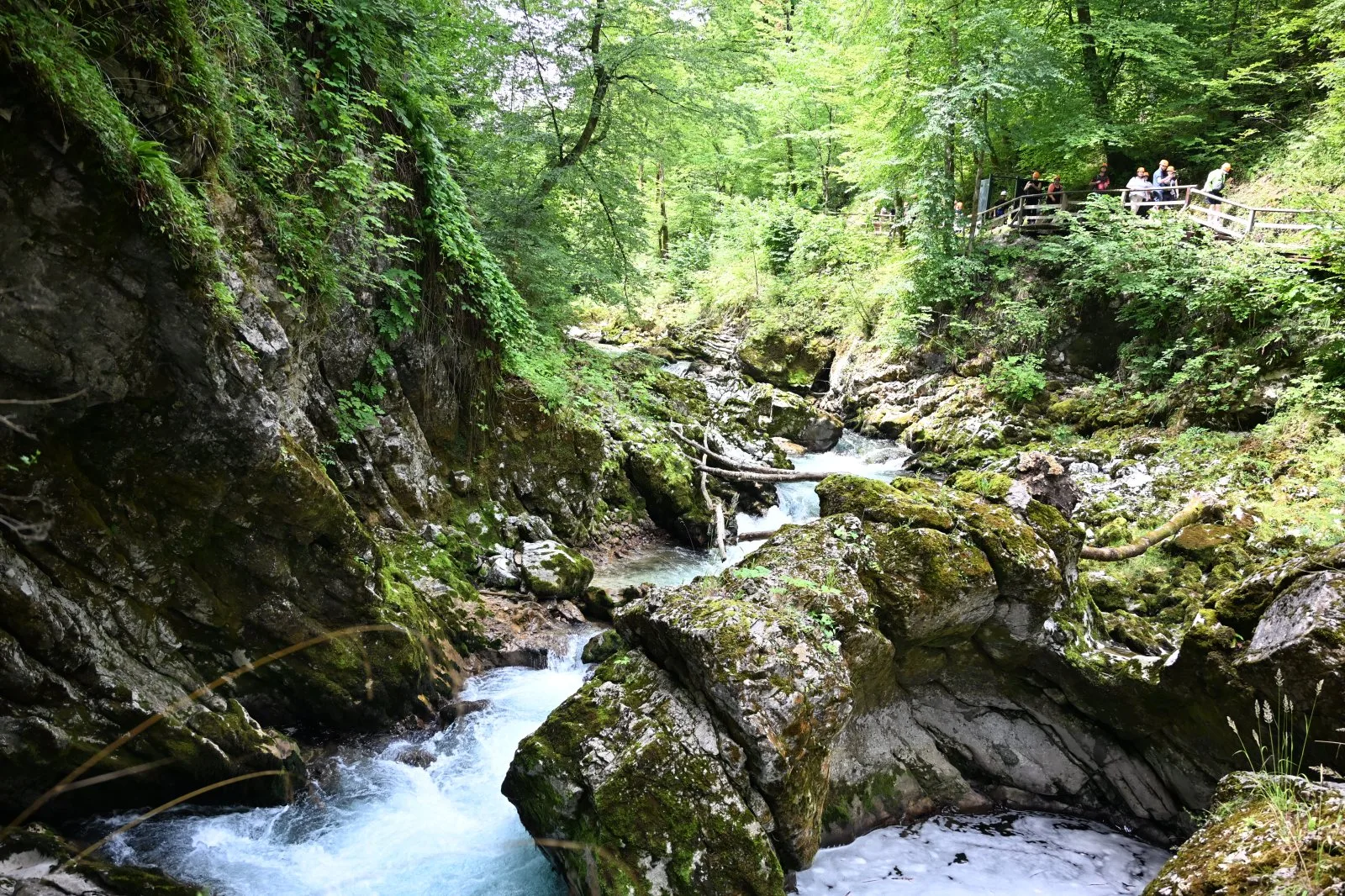 Słowenia