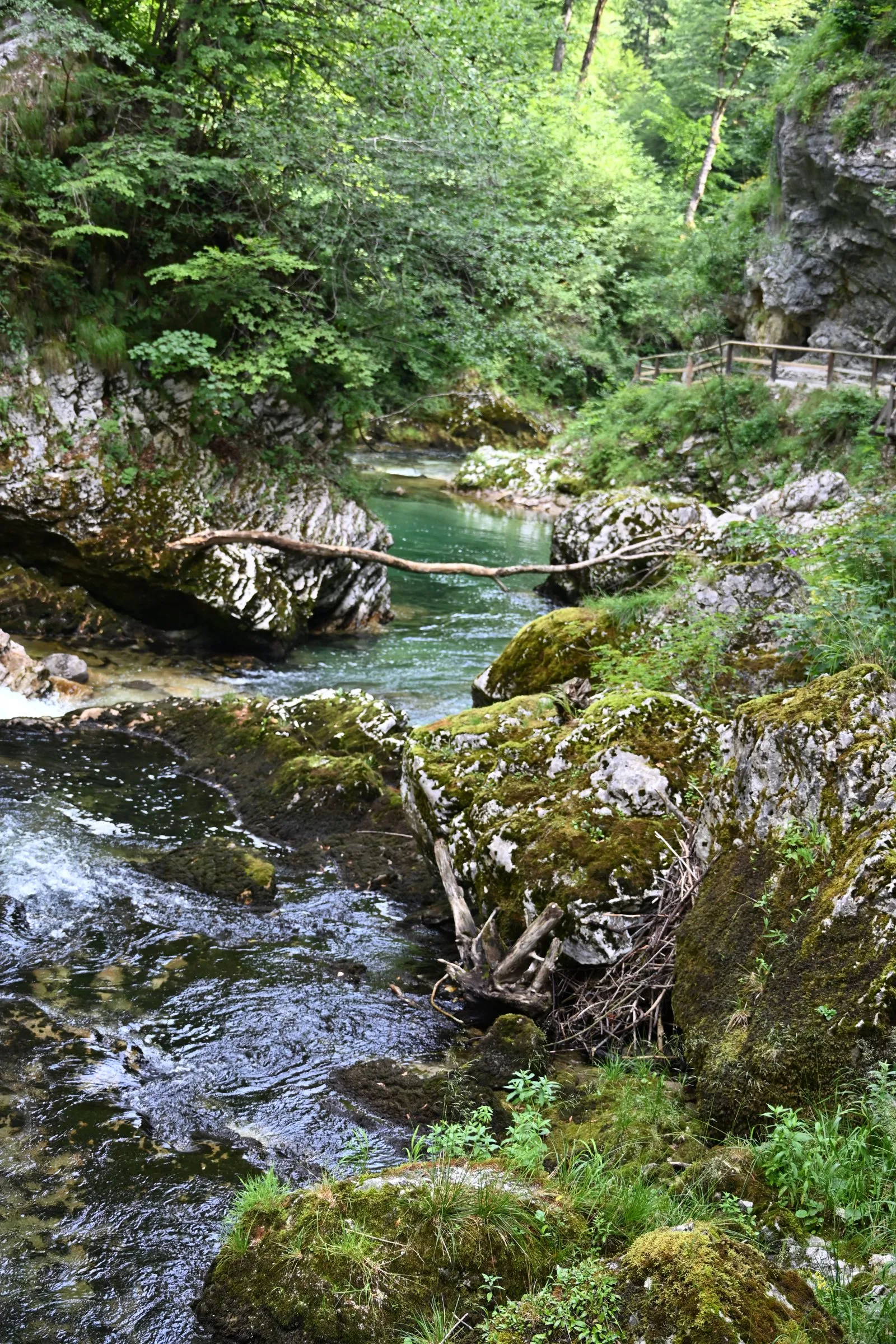Słowenia