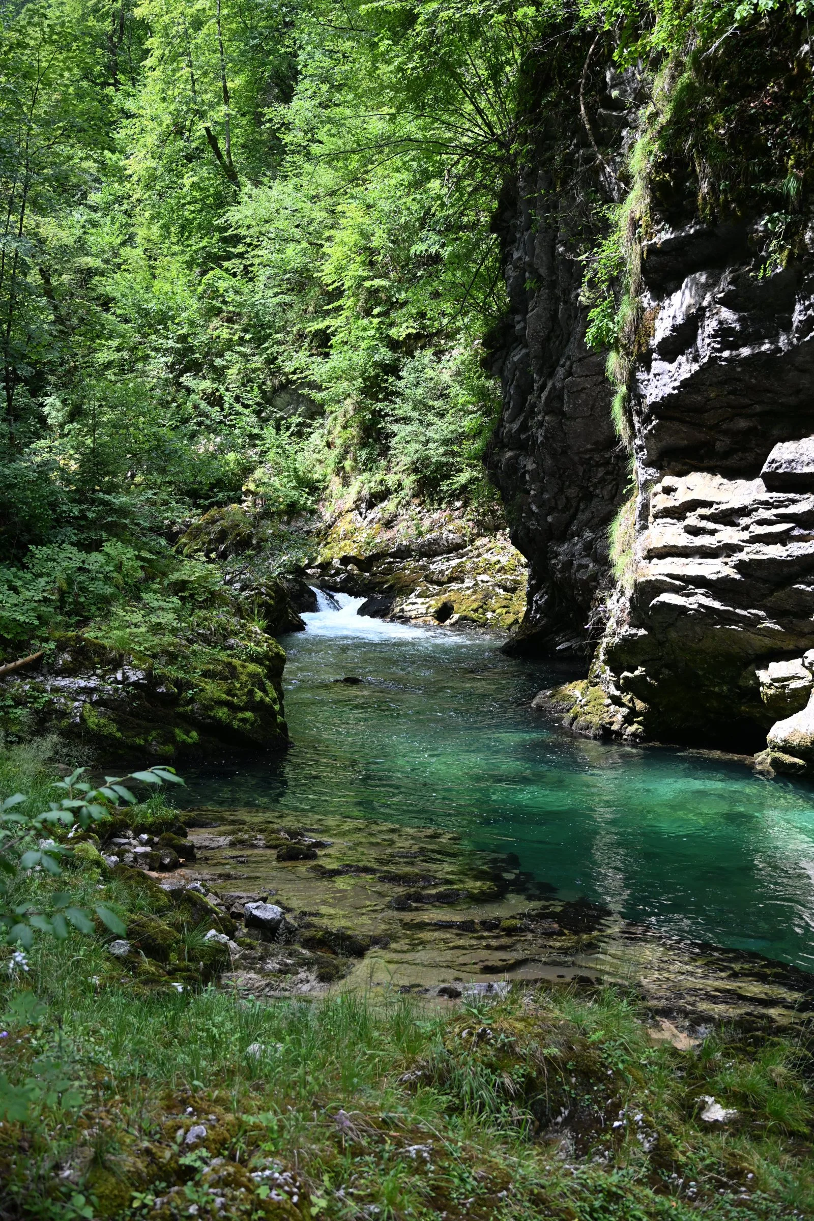Słowenia