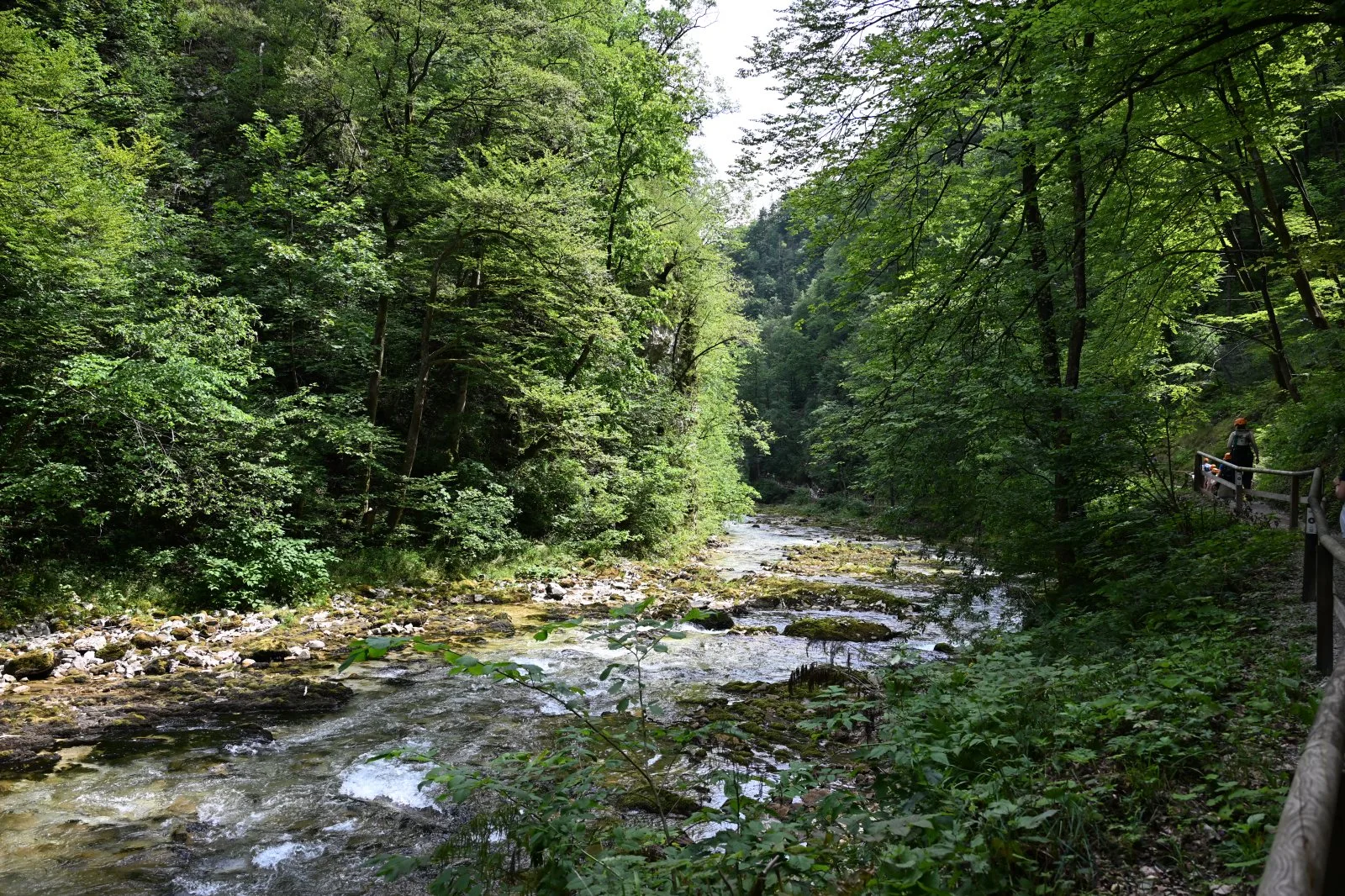 Słowenia