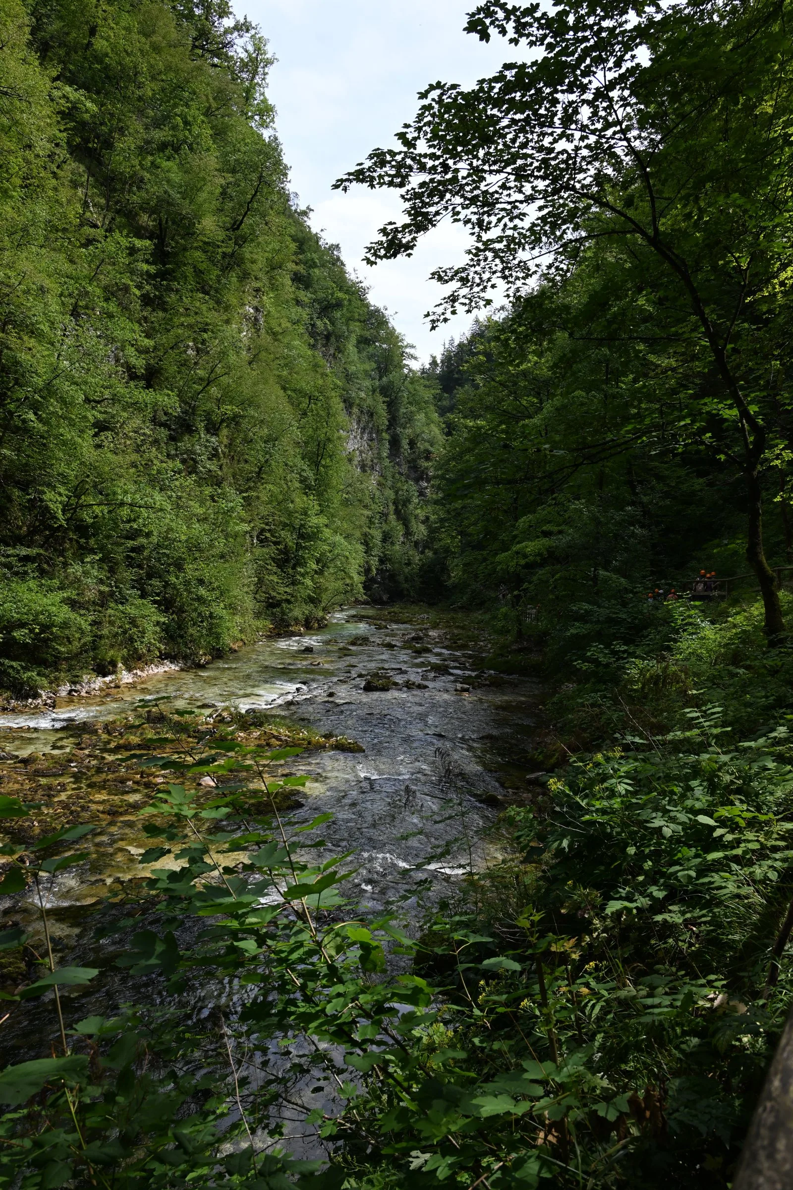 Słowenia