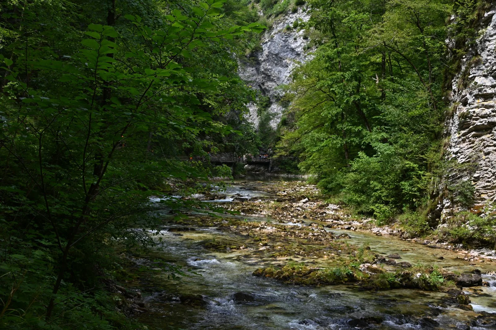 Słowenia