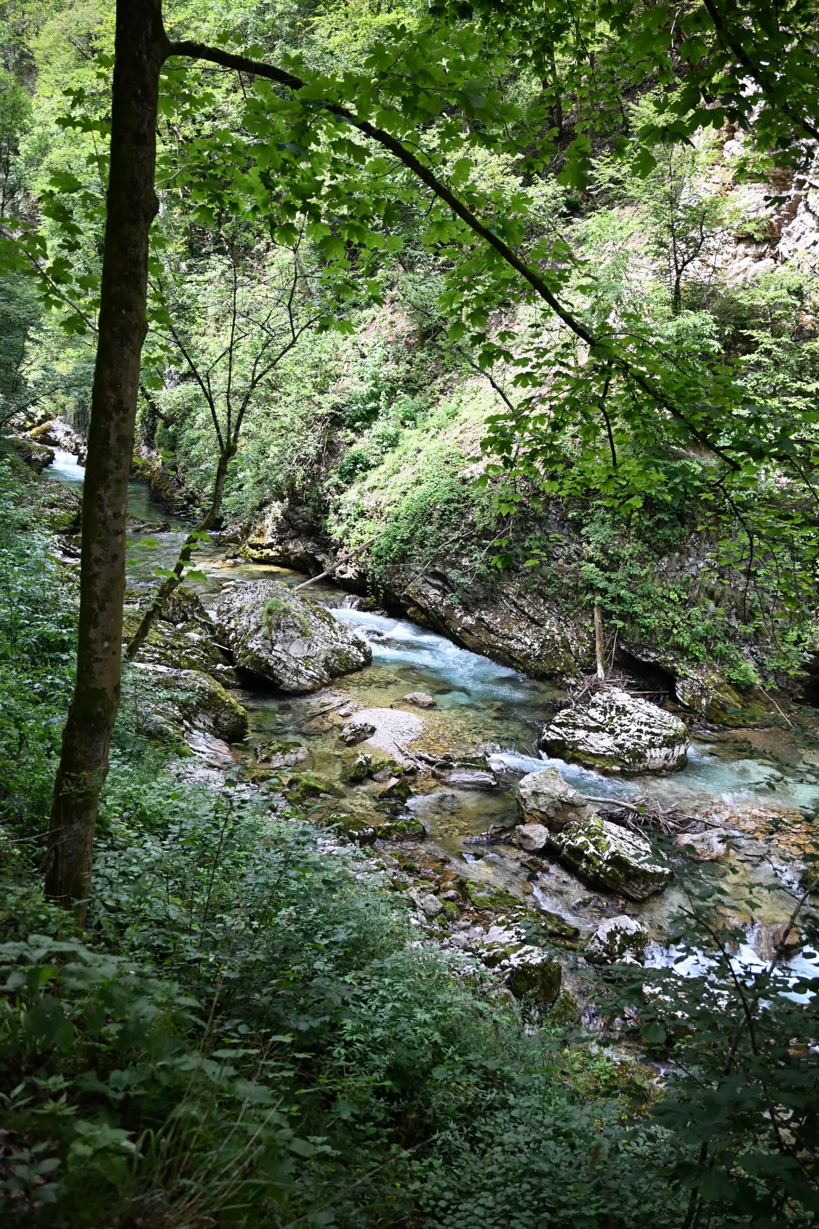 Słowenia