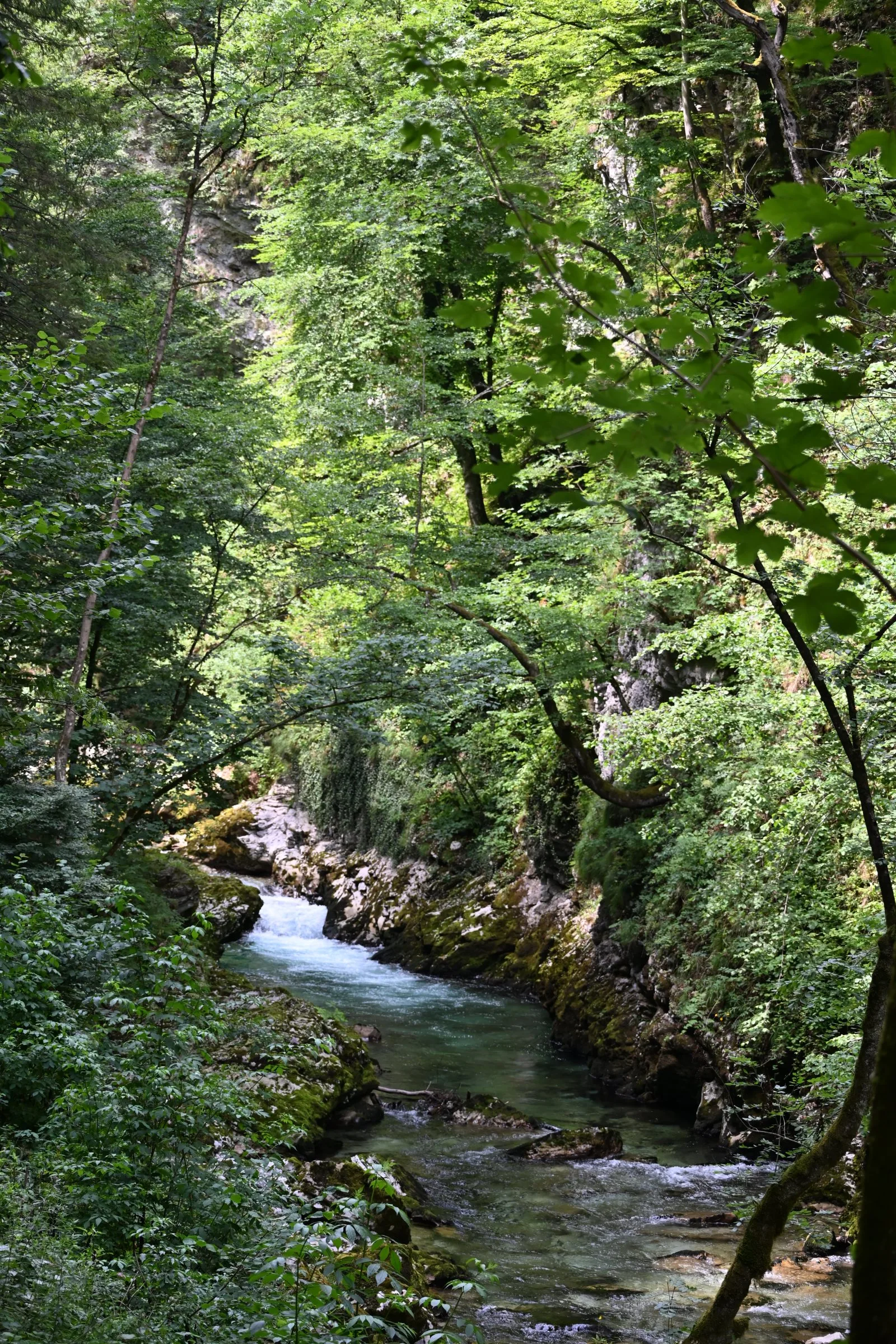 Słowenia