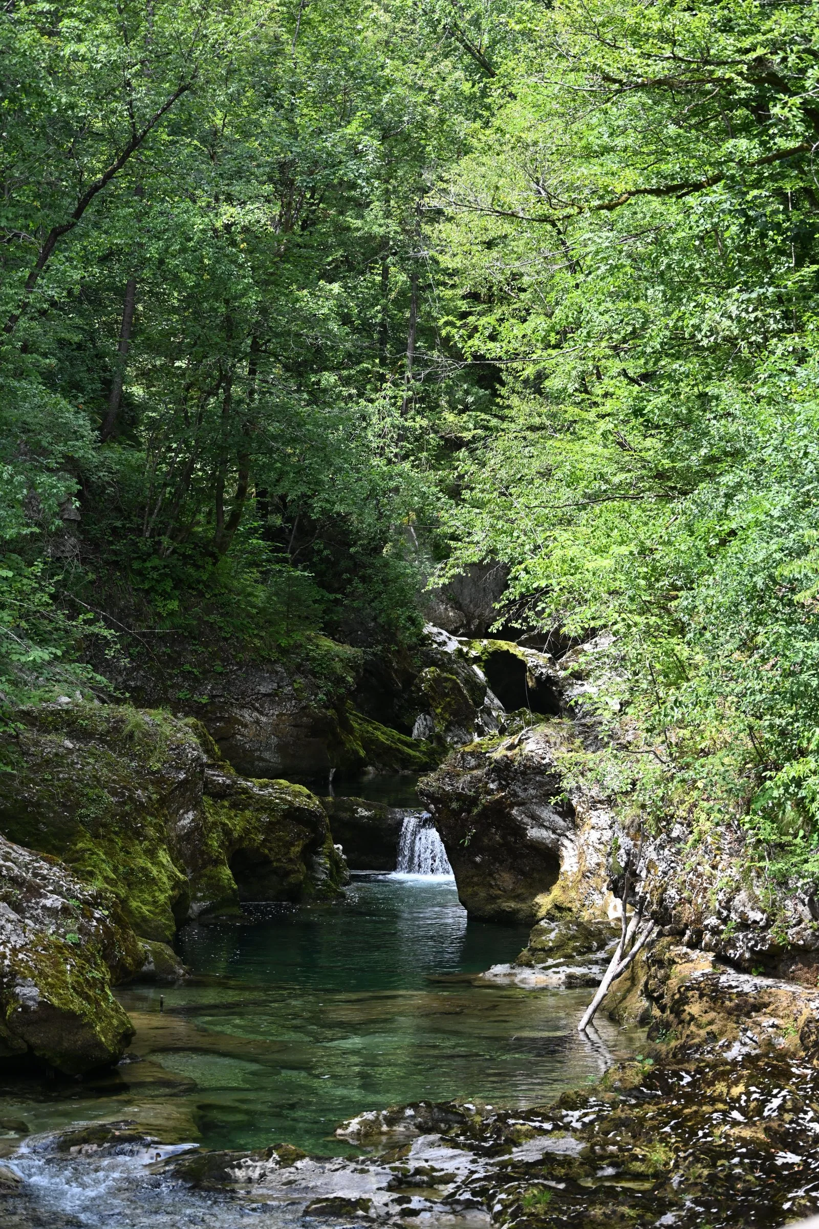 Słowenia