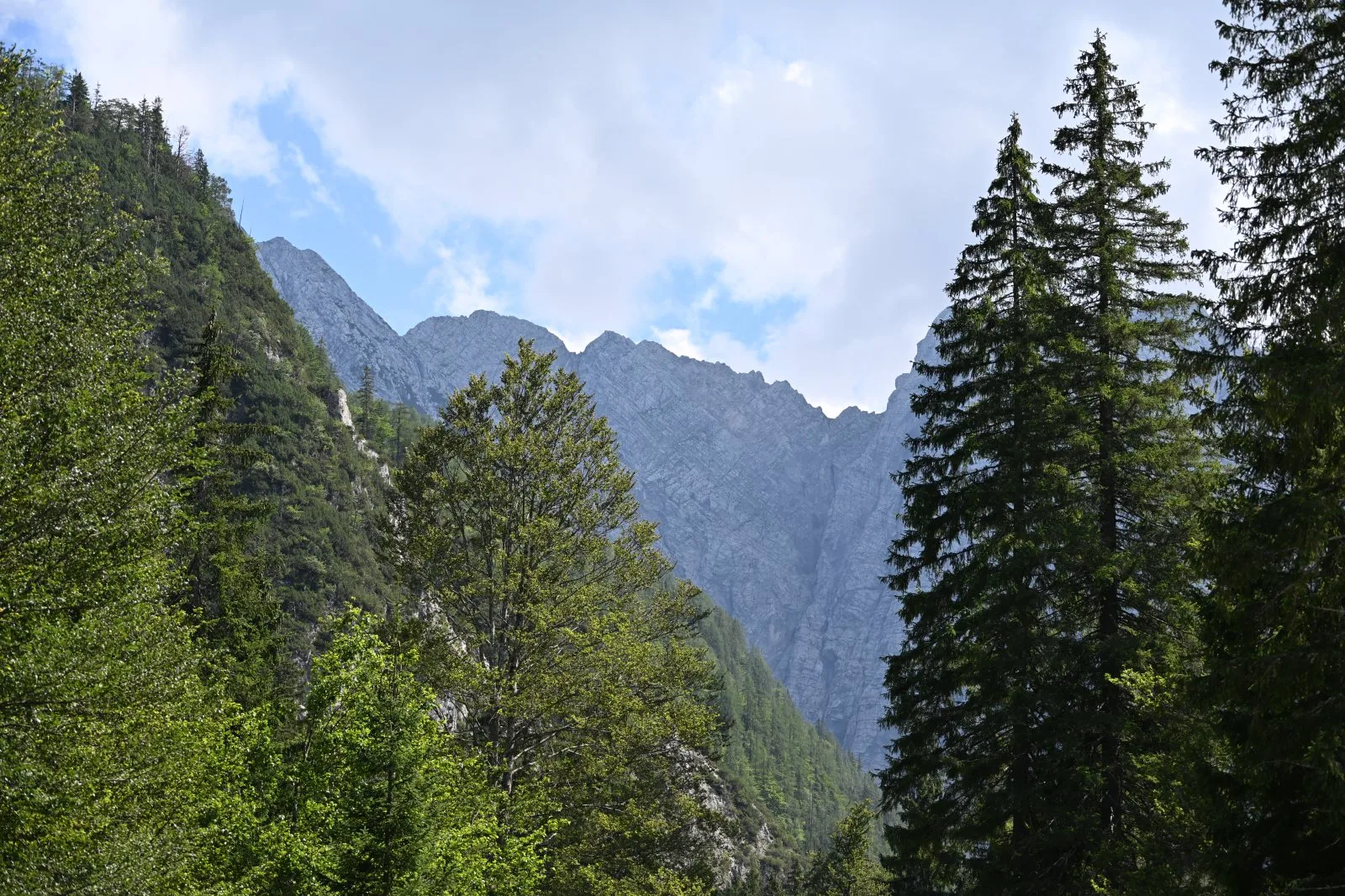 Słowenia
