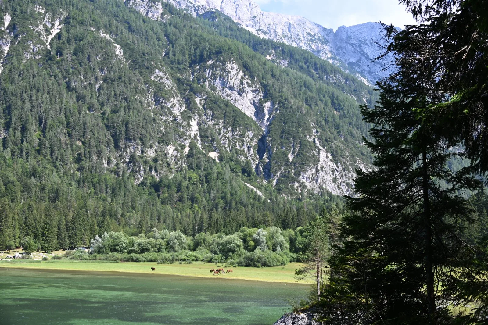 Słowenia